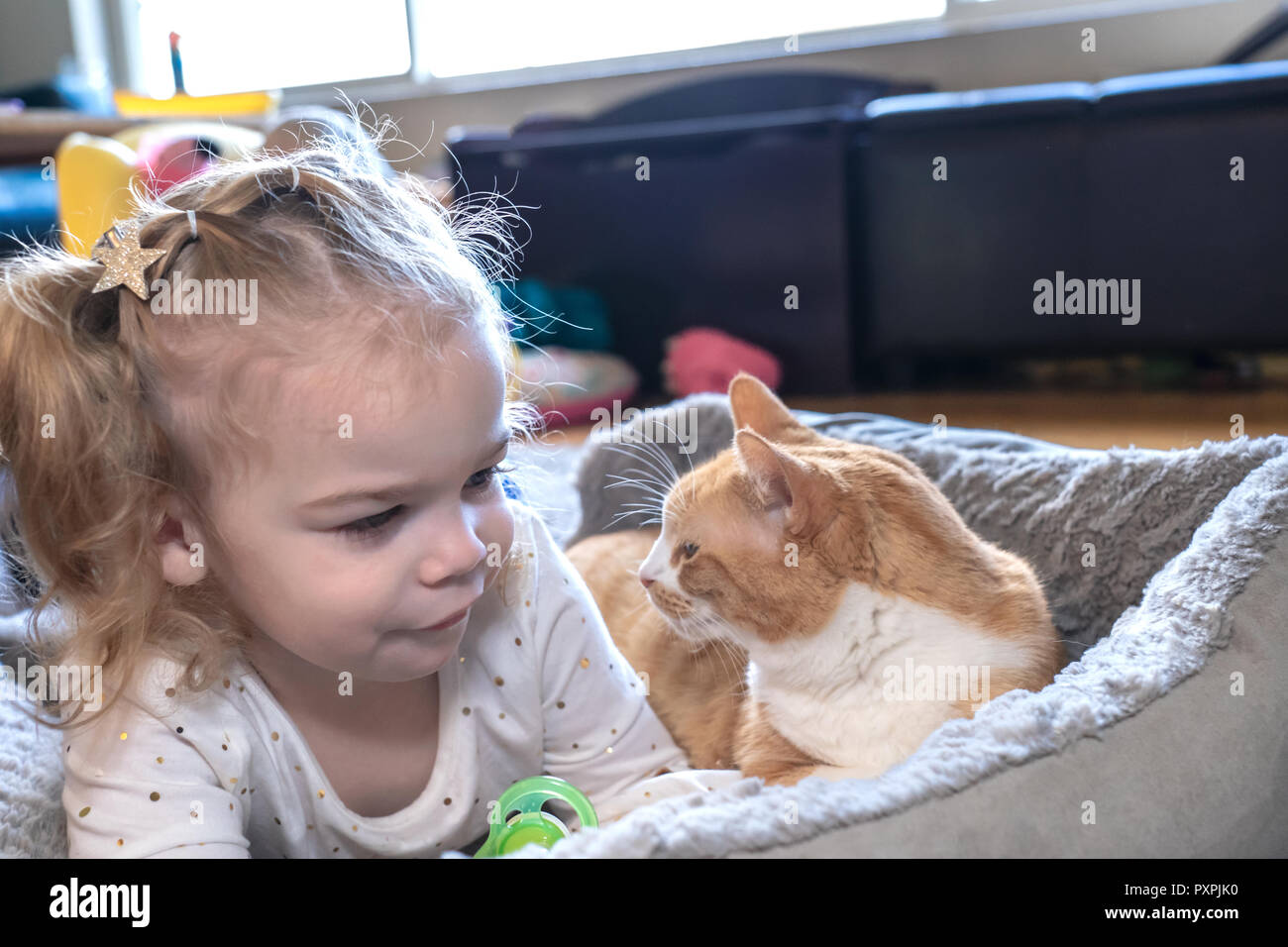 Fast 2 Jahre alten Mädchen in einem starren Wettbewerb mit ihrer Katze 'Kita' starrten einander an, saß eine Katze Bett. Stockfoto