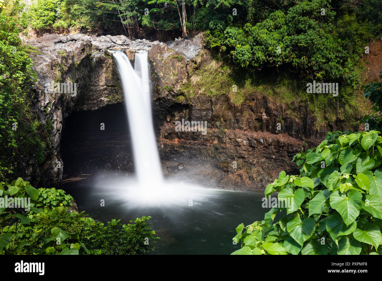 Rainbow Falls in Hilo, Big Island von Hawaii. Es fällt 40 Fuß von Rock bis der Pool unten. Es ist von grünen tropischen Vegetation umgeben. Stockfoto