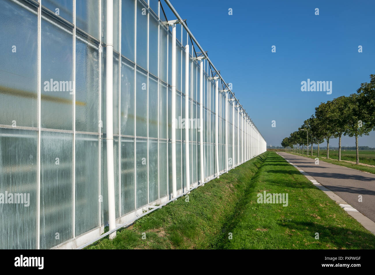 Perspektivische Ansicht der industriellen Glas Gewächshäuser in den Niederlanden. Stockfoto