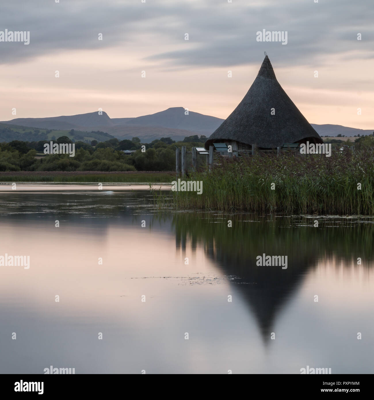 Ein crannog auf Llangorse Lake, im Wasser spiegelt, South Wales, August 2018 Stockfoto