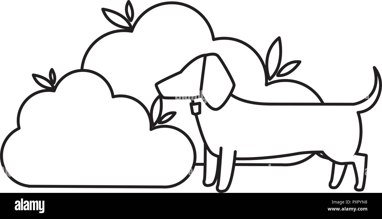 Hund und Büsche mit weißem Hintergrund, Vector Illustration Stock Vektor