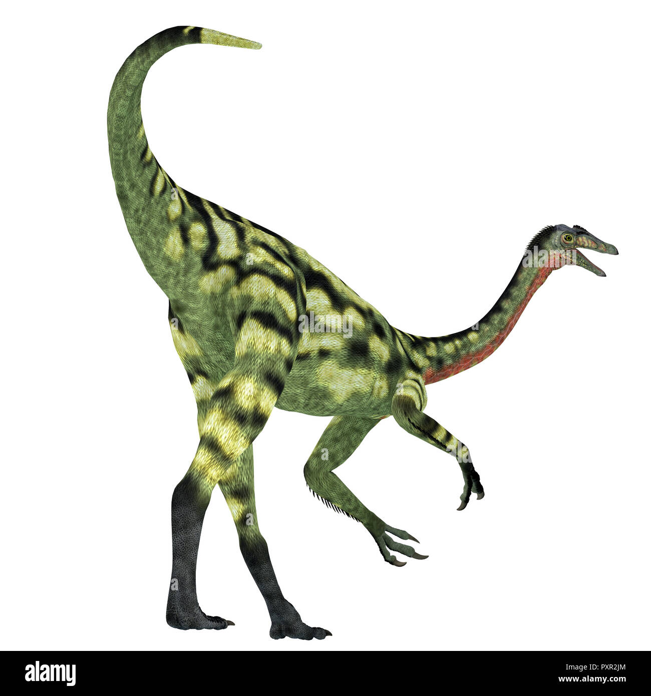 Deinocheirus Dinosaurier Schwanz - Deinocheirus war eine fleischfressende Theropode Saurier, die in der Mongolei während der Kreidezeit lebten. Stockfoto