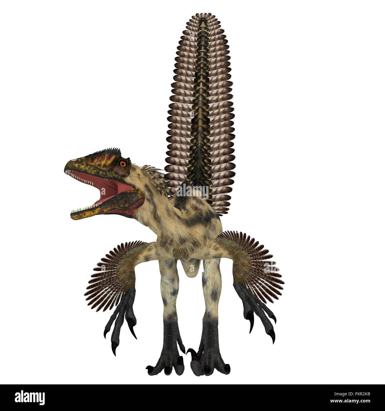 Deinonychus Dinosaurier - Deinonychus war eine fleischfressende Theropode Saurier, die in Nordamerika in der Kreidezeit lebten. Stockfoto