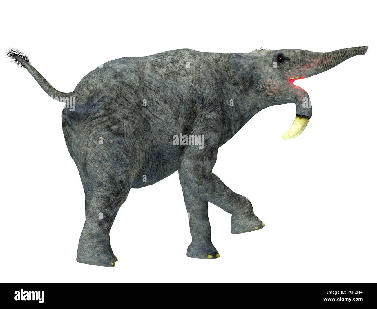 Deinotherium Säugetier - Deinotherium war ein Elefant Säugetier, und die in Asien, Afrika und Europa während des Miozän und pleistozäne Zeit gelebt. Stockfoto