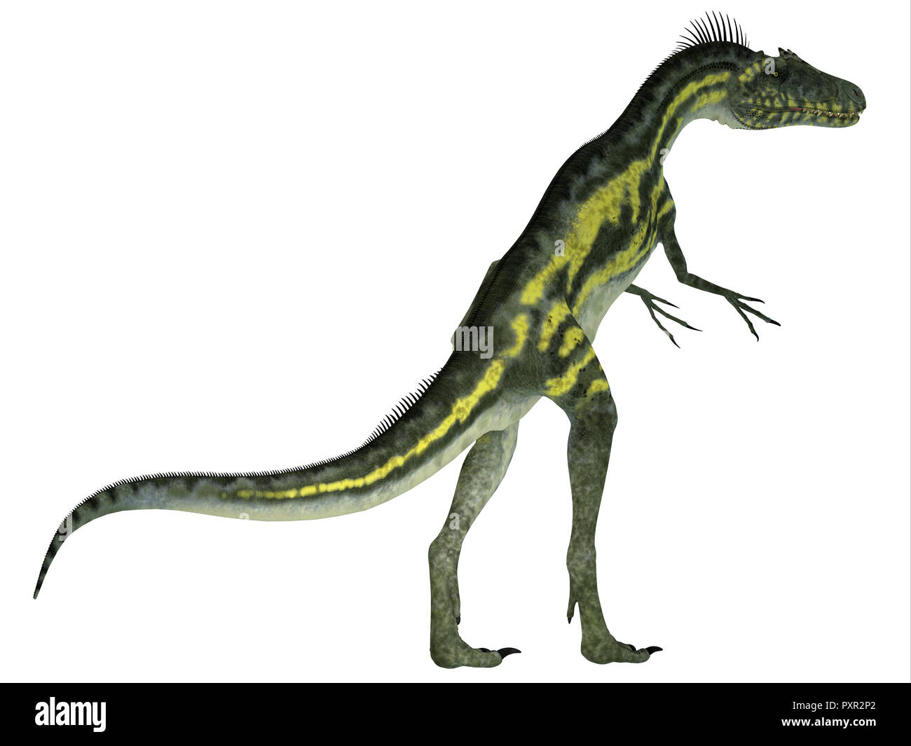 Deltadromeus Dinosaurier Schwanz - deltadromeus war eine fleischfressende Theropode Saurier, die in Nordafrika in der Kreidezeit lebten. Stockfoto
