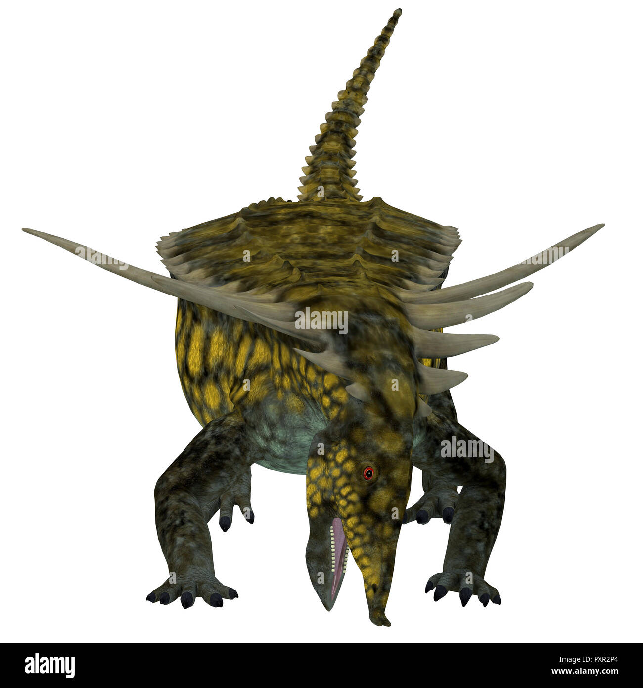 Desmatosuchus Dinosaurier - Desmatosuchus war eine gepanzerte pflanzenfressende Dinosaurier, die in Texas und Arizona während der Trias lebte. Stockfoto