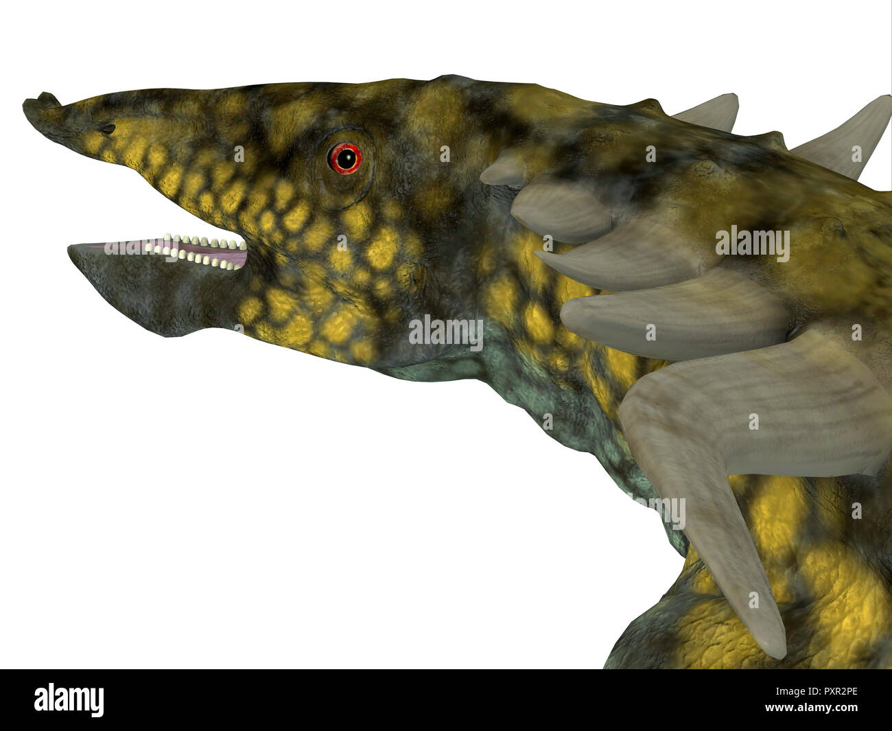 Kopf - Desmatosuchus desmatosuchus Dinosaurier war ein gepanzertes pflanzenfressende Dinosaurier, die in Texas und Arizona während der Trias lebte. Stockfoto