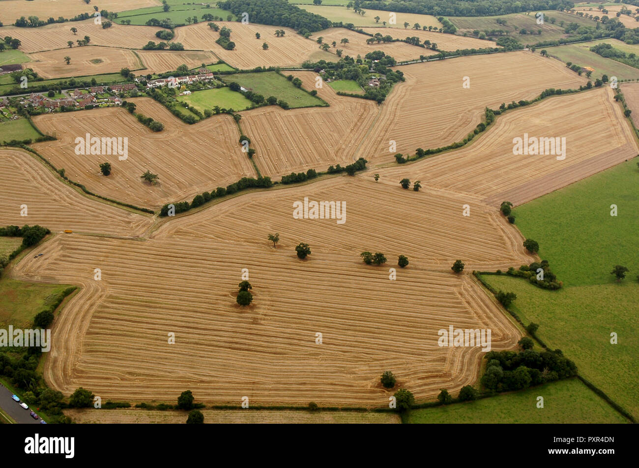 Luftaufnahme von Ackerland Felder in Staffordshire, Großbritannien Stockfoto