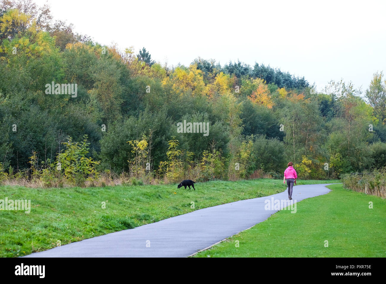 Frau zu ihrem Hund wie die Blätter anzeigen Herbst Farbe Stockfoto