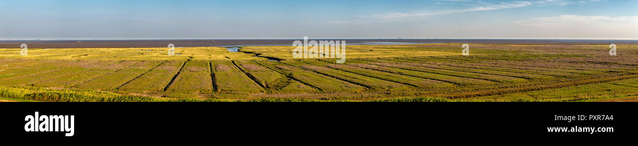 Panorama der Salzwiesen auf der ostfriesischen Insel Juist in der Nordsee, Deutschland. Stockfoto