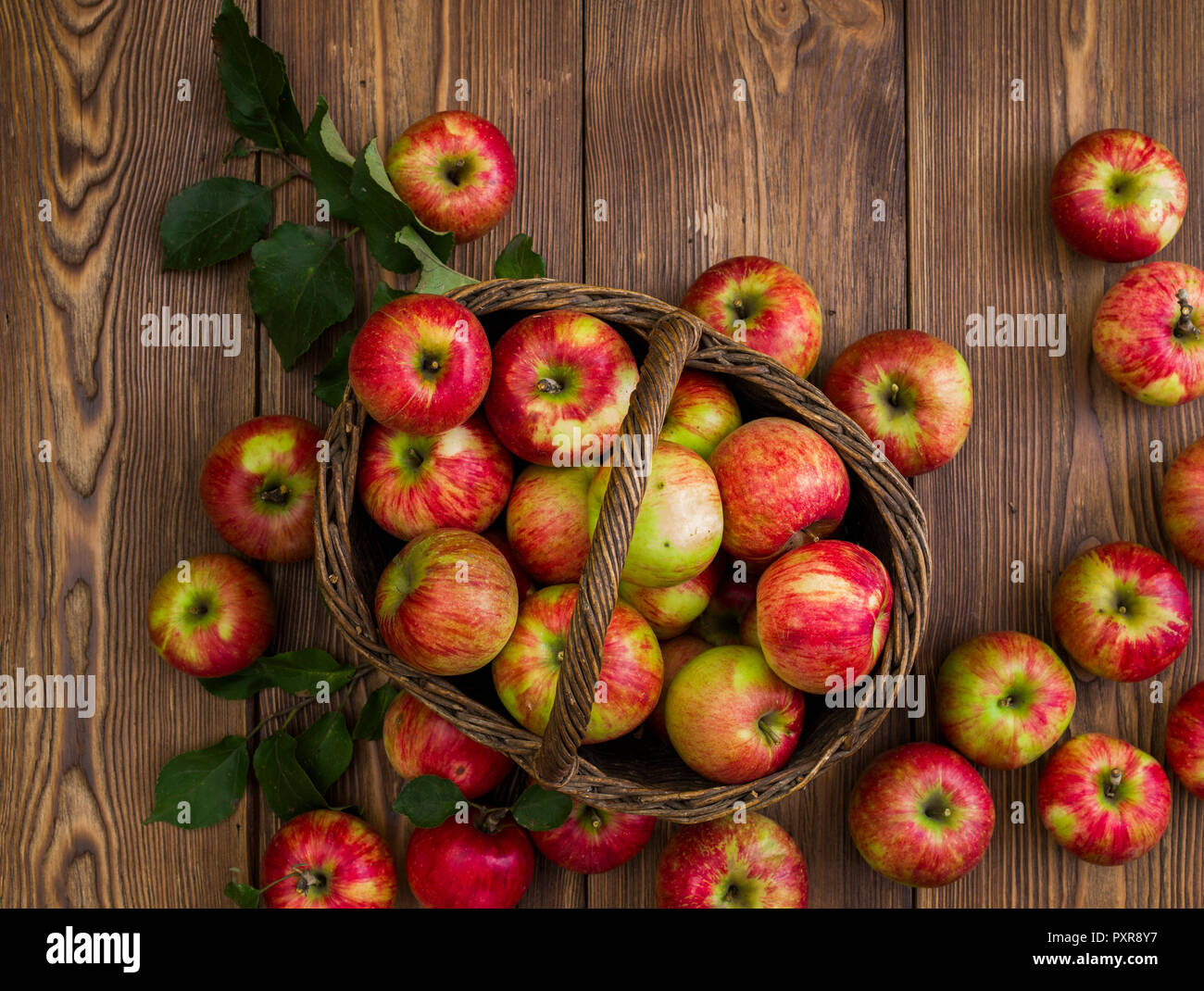 Äpfel in den Korb aus der Draufsicht Stockfoto