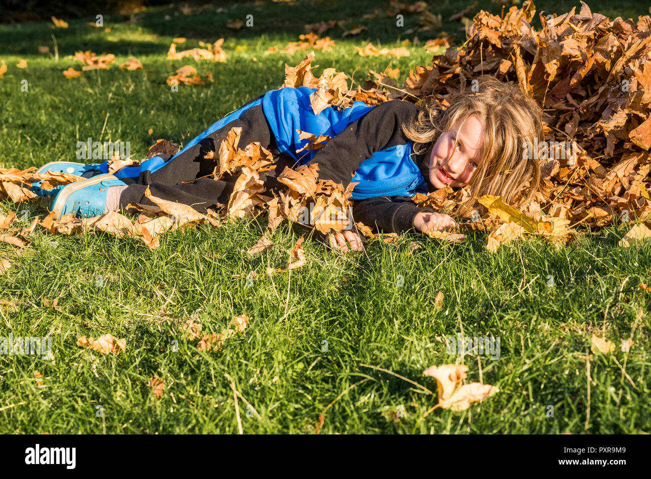 Junge langhaarige Junge spielt mit Herbst Ahorn Blätter Stockfoto