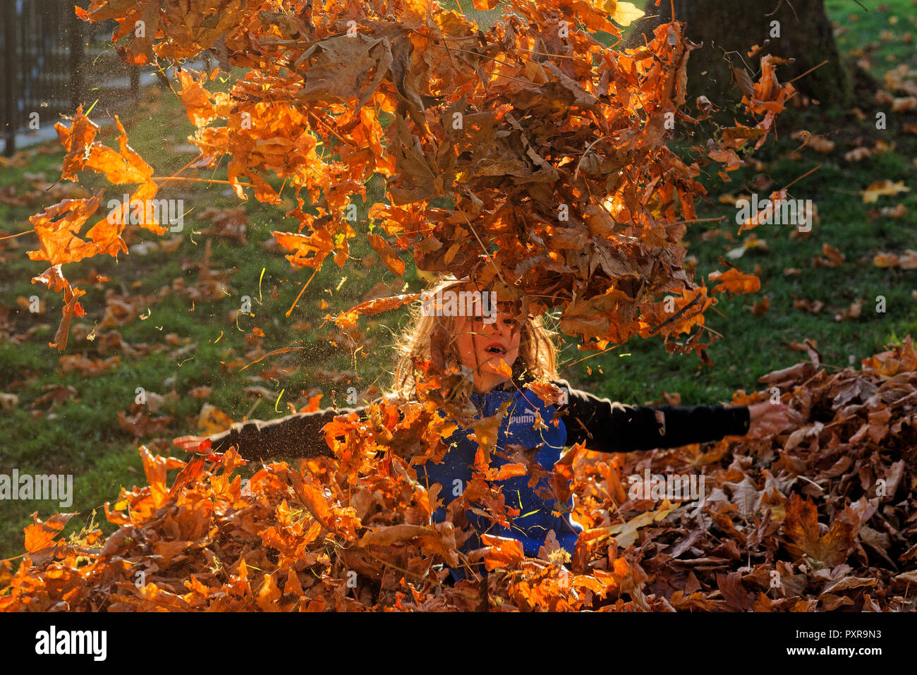 Junge langhaarige Junge spielt mit Herbst Ahorn Blätter Stockfoto