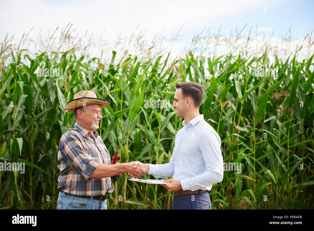 Landwirt und Unternehmer die Hände schütteln im Kornfeld Stockfoto