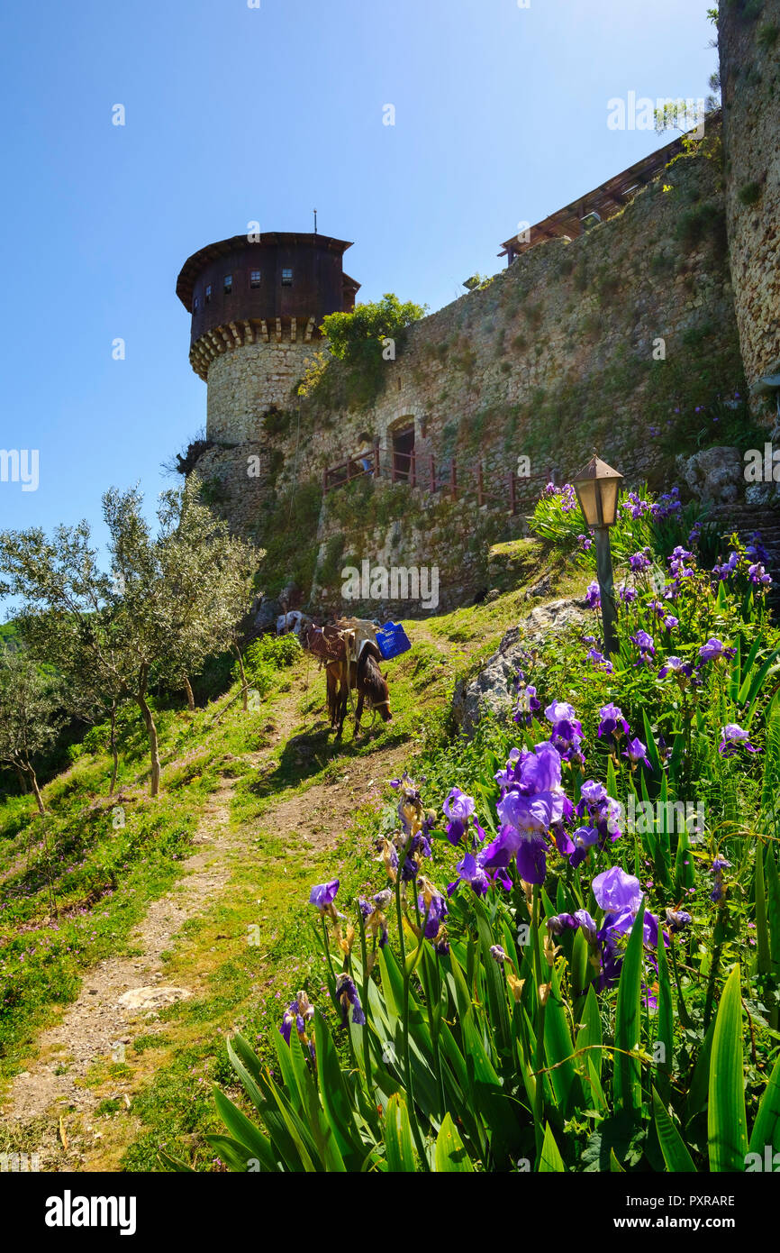 Albanien, Tirana Petrela, Schloss Kalaja e Petreles Stockfoto