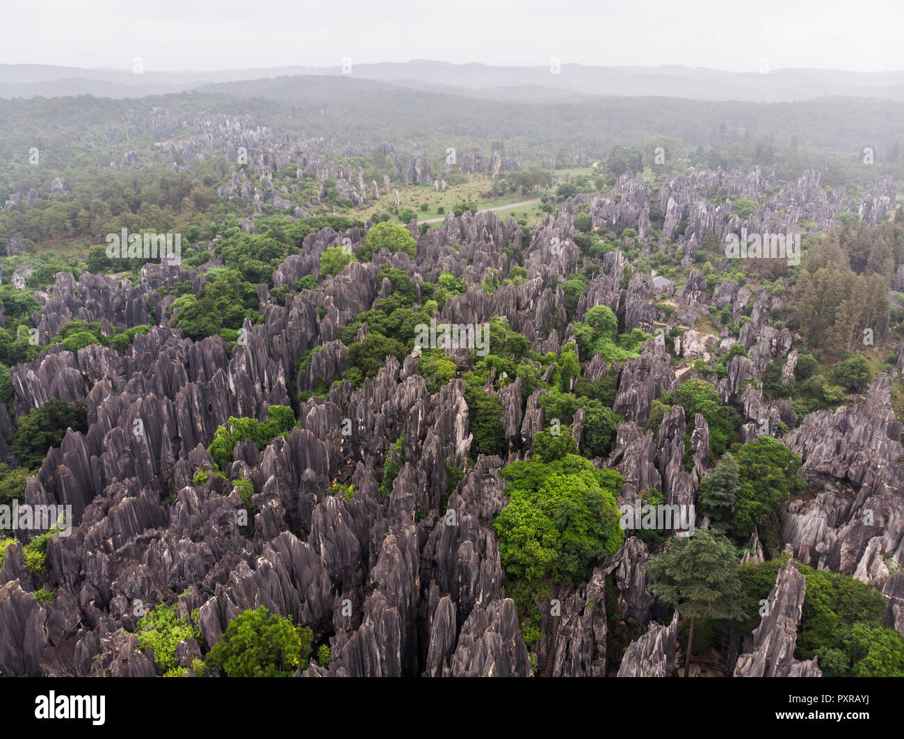 China, Shilin, Stein, Wald Stockfoto
