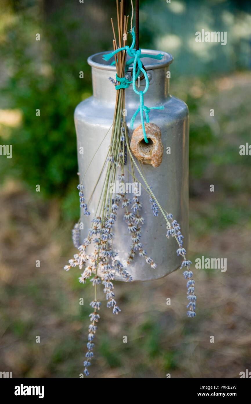 Alte Milchkanne mit addierer Stein und getrocknetem Lavendel Stockfoto