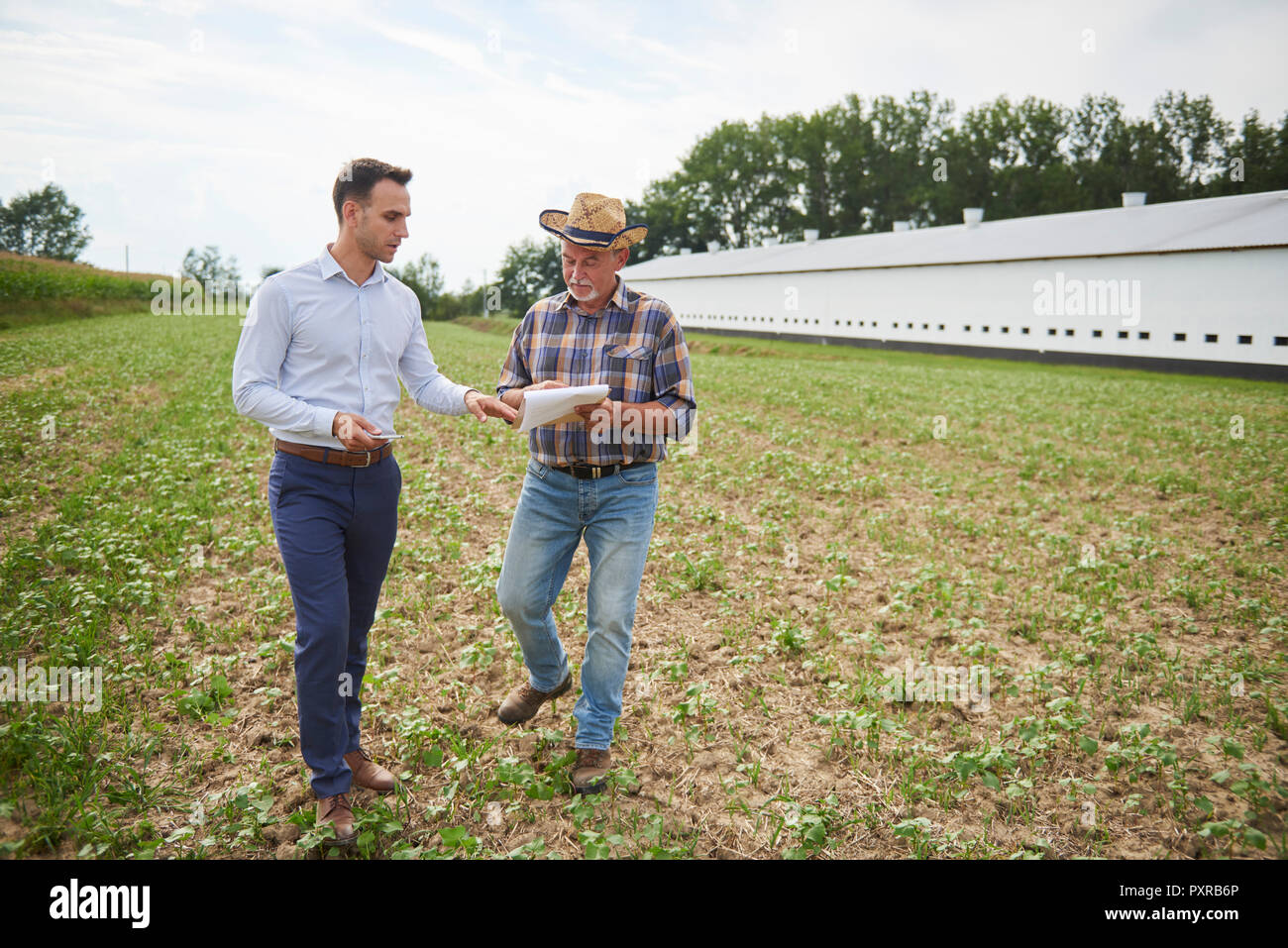 Landwirt und Unternehmer diskutieren Daten aus der Zwischenablage in das Feld Stockfoto