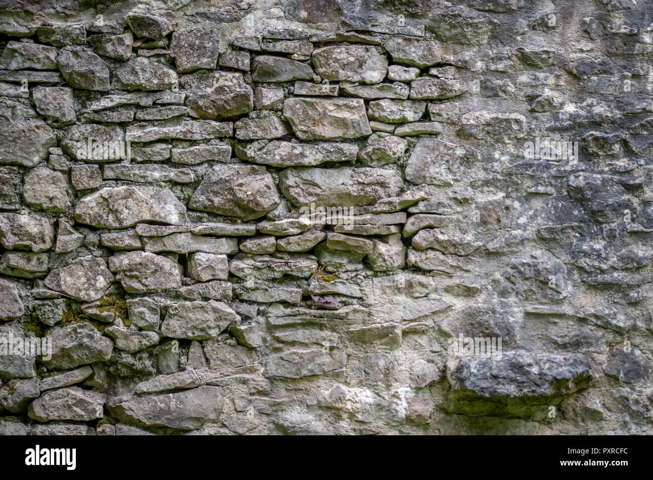 Abgenutzte Steinmauer, Levens Hall, Kendal, Cumbria, Großbritannien Stockfoto