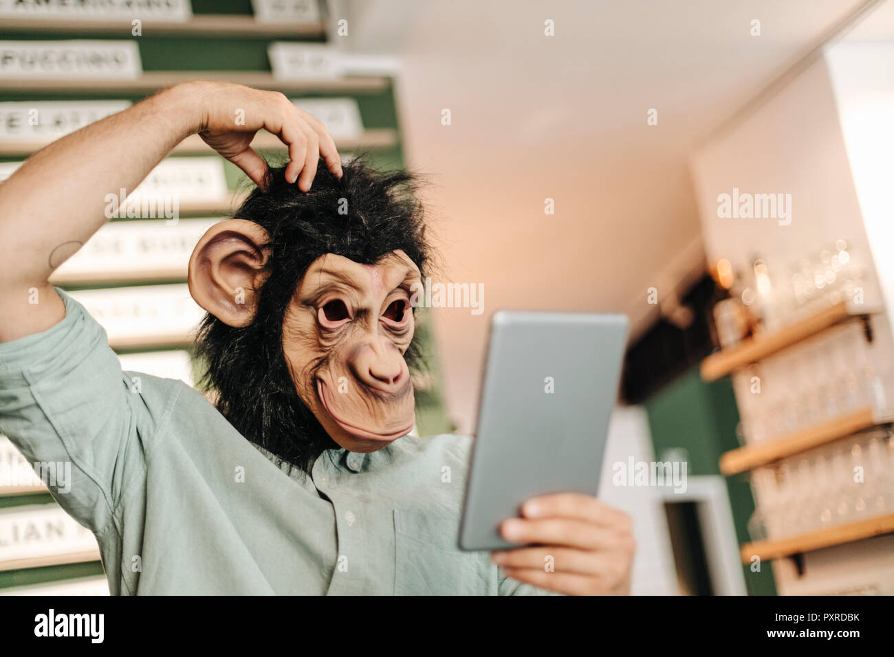 Mann, der Affe Maske, mit digitalen Tablet, kratzen Kopf Stockfoto