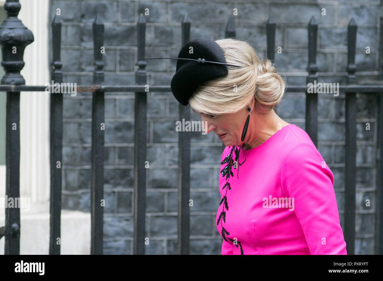 London, Großbritannien. 24. Oktober 2018. König Willem-Alexander und Königin Máxima der Niederlande werden in der Downing Street von Premierminister Theresa May Credit begrüßt: Amer ghazzal/Alamy leben Nachrichten Stockfoto