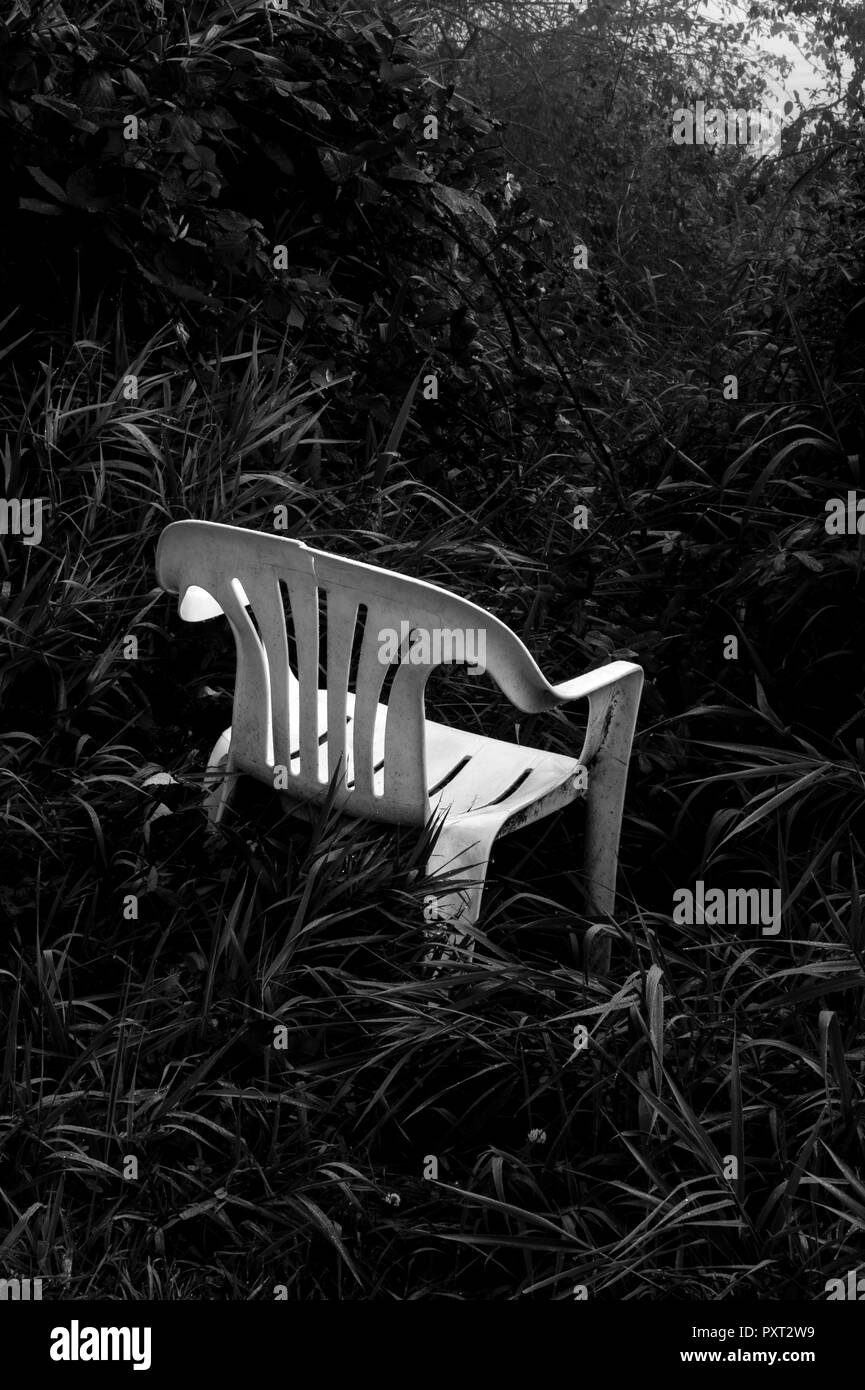 Weißer Stuhl abgebrochen, bevor Wald Trail im üppigen Gras und Pflanzen beginnt. Stockfoto