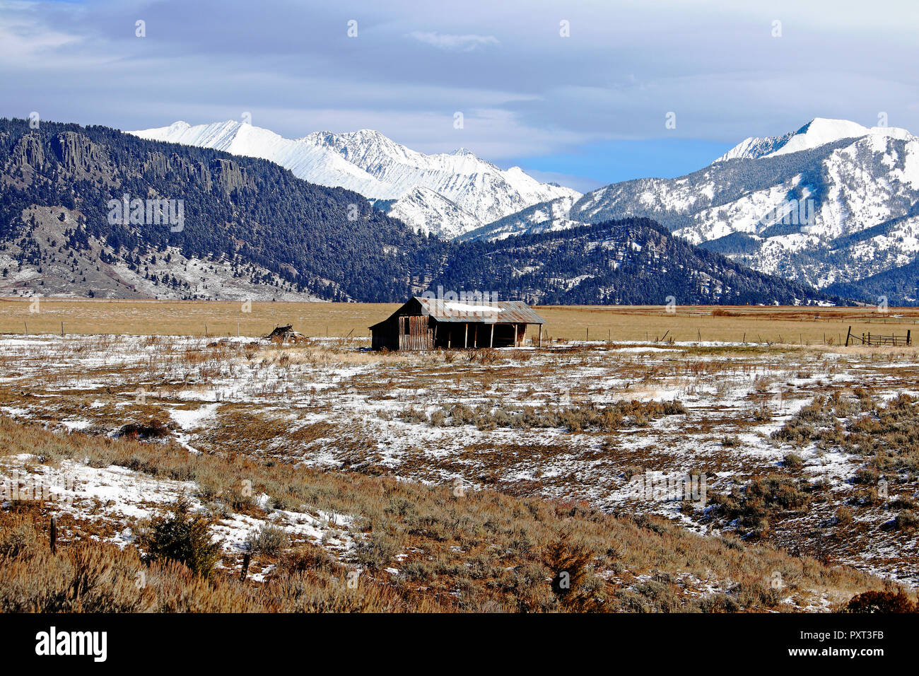 Diese alte Scheune in Wilsall Montana sitzt im Schatten des Verrückten Berge Stockfoto