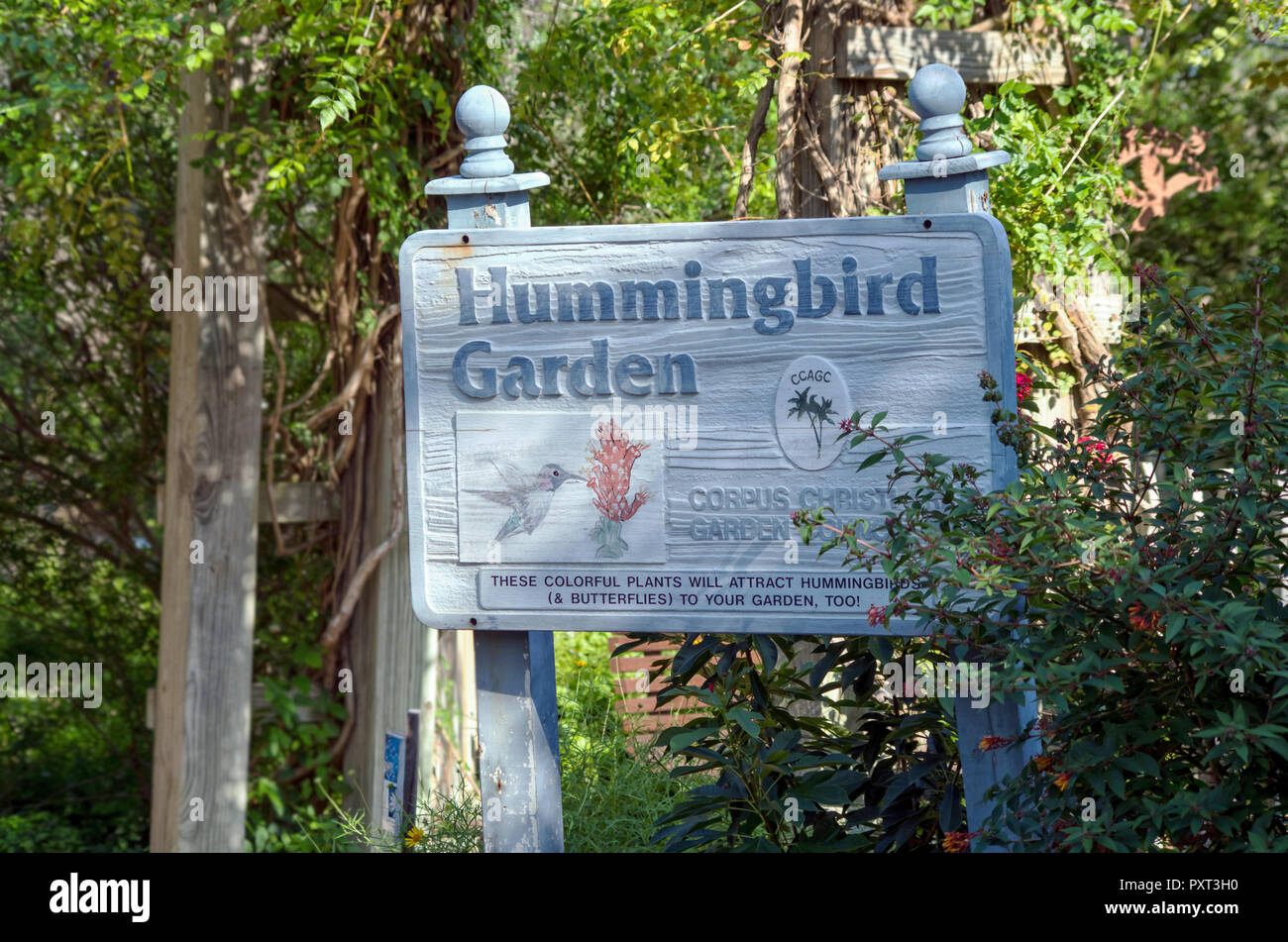 Hummingbird Garten Schild am South Texas Botanischen Gärten und Natur Center in Corpus Christi, Texas USA. Zwei anzeigen. Stockfoto
