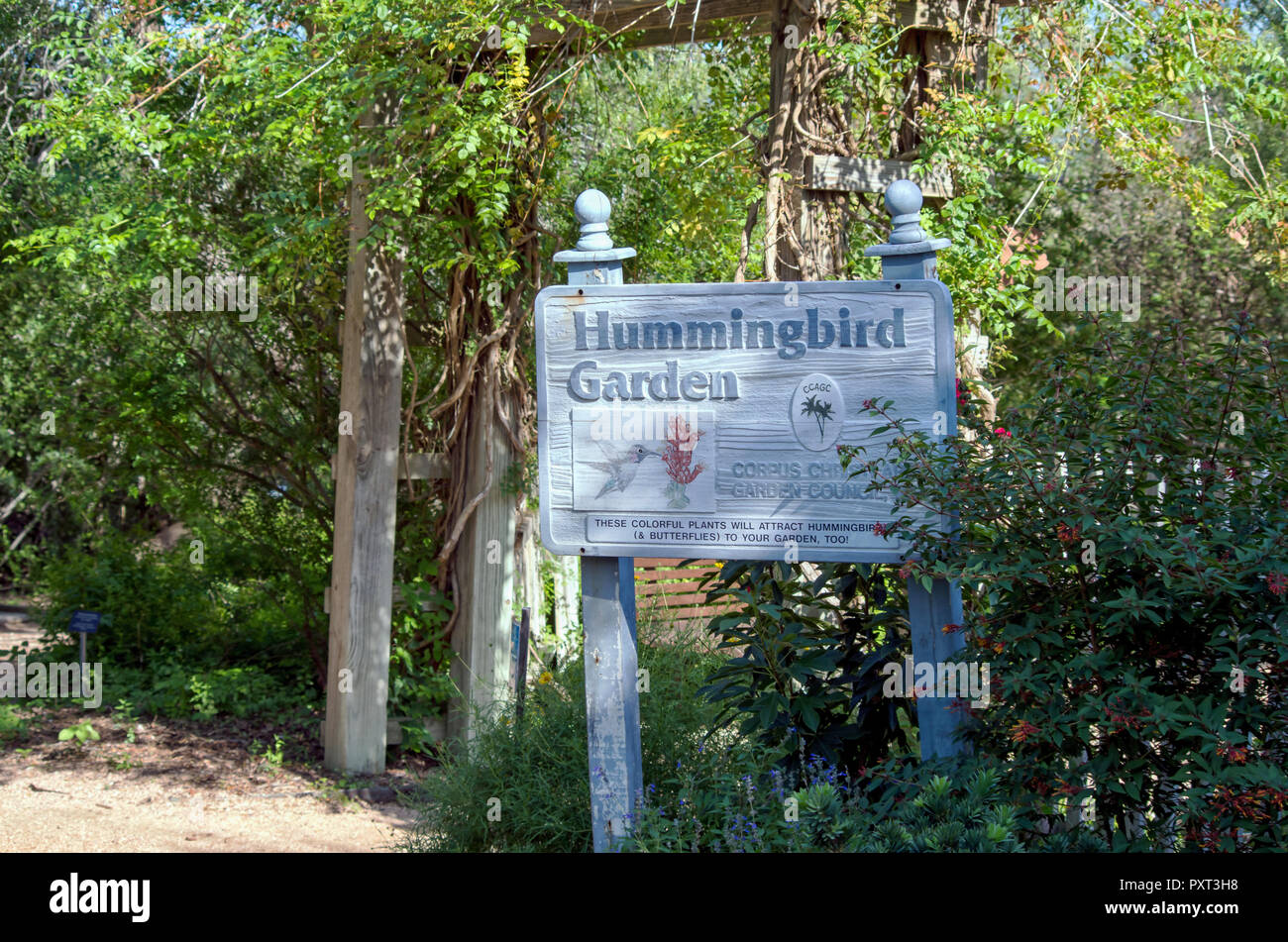 Hummingbird Garten Schild am South Texas Botanischen Gärten und Natur Center in Corpus Christi, Texas USA. Anzeigen. Stockfoto