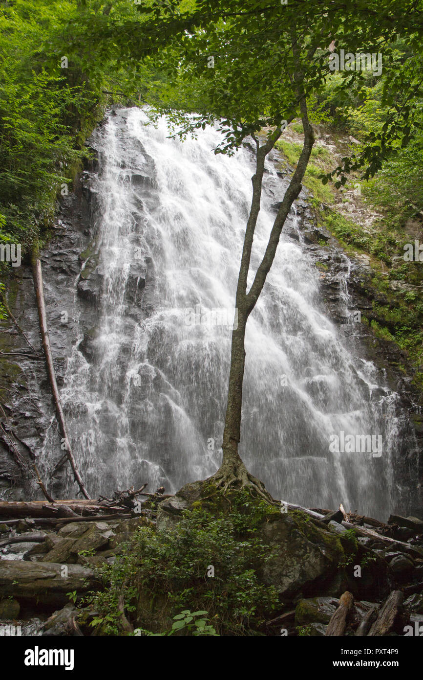 Eine schöne, Wasserfall auf Crabtree fällt Weg entlang des Blue Ridge Parkway in der westlichen North Carolina Berge Stockfoto