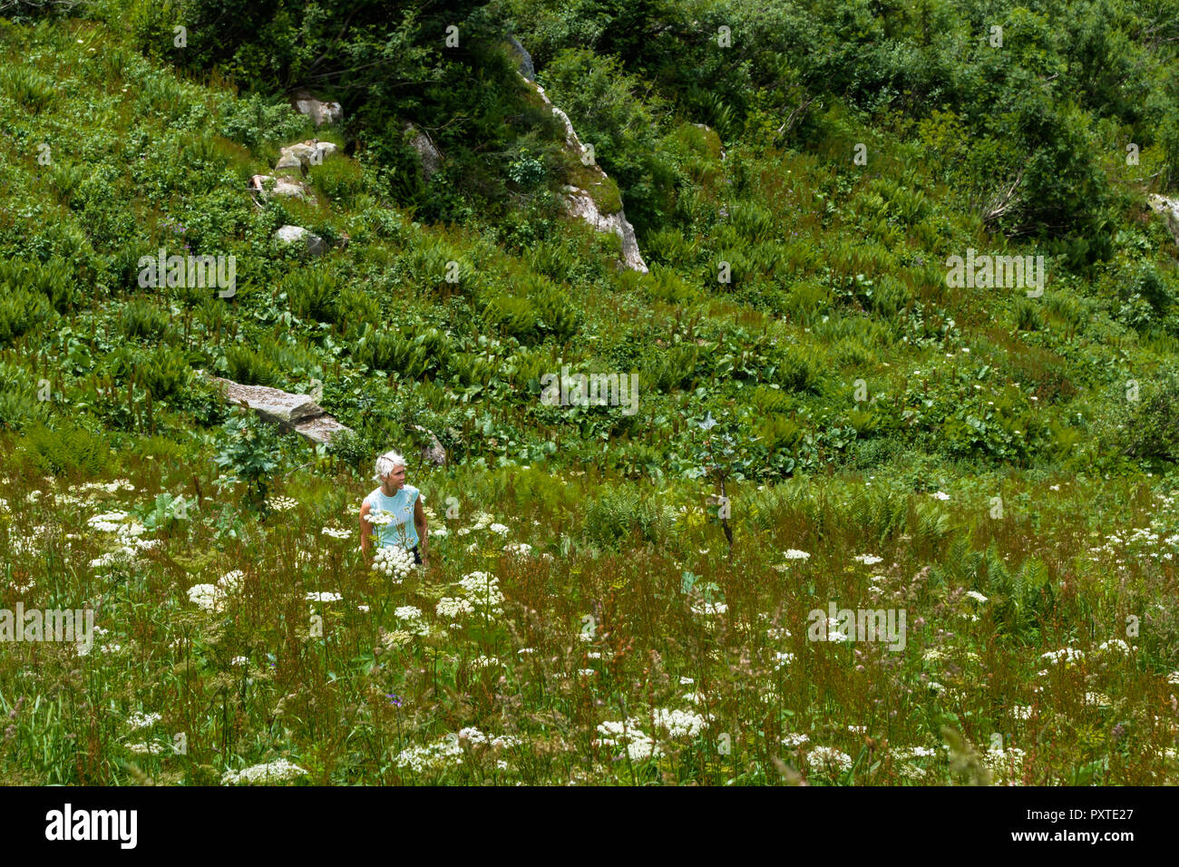 Argentière, Frankreich - Juli 5, 2016: eine blonde Frau mit kurzen unordentlichen Haar in kurzen Ärmeln in einer grünen und üppigen alpinen Wiese im Sommer Stockfoto