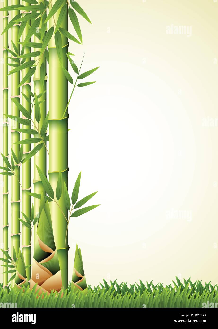 Natur Hintergrund Design mit Bambus Abbildung Stock-Vektorgrafik - Alamy