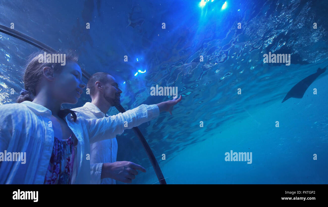 Junges Mädchen mit Vati amüsant beobachten die Fische im Aquarium Stockfoto