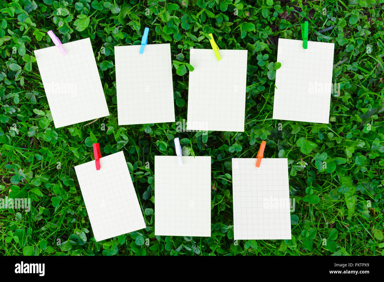 Wochenprogramm auf Gras mit leeren Papier und Holz- bunte Stifte, Schule plan Konzept Stockfoto