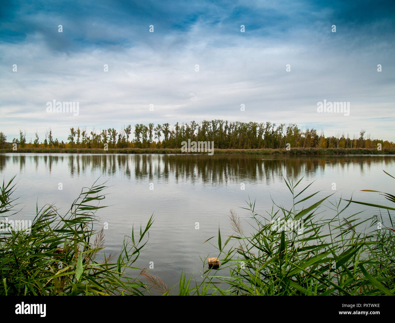 Landschaft von einem Fluss mit ruhigem Wasser im Herbst und Reflexion der Bäume im Wasser Stockfoto