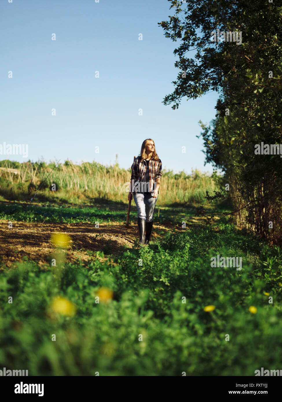 Bauer zu Fuß auf ein Feld Stockfoto