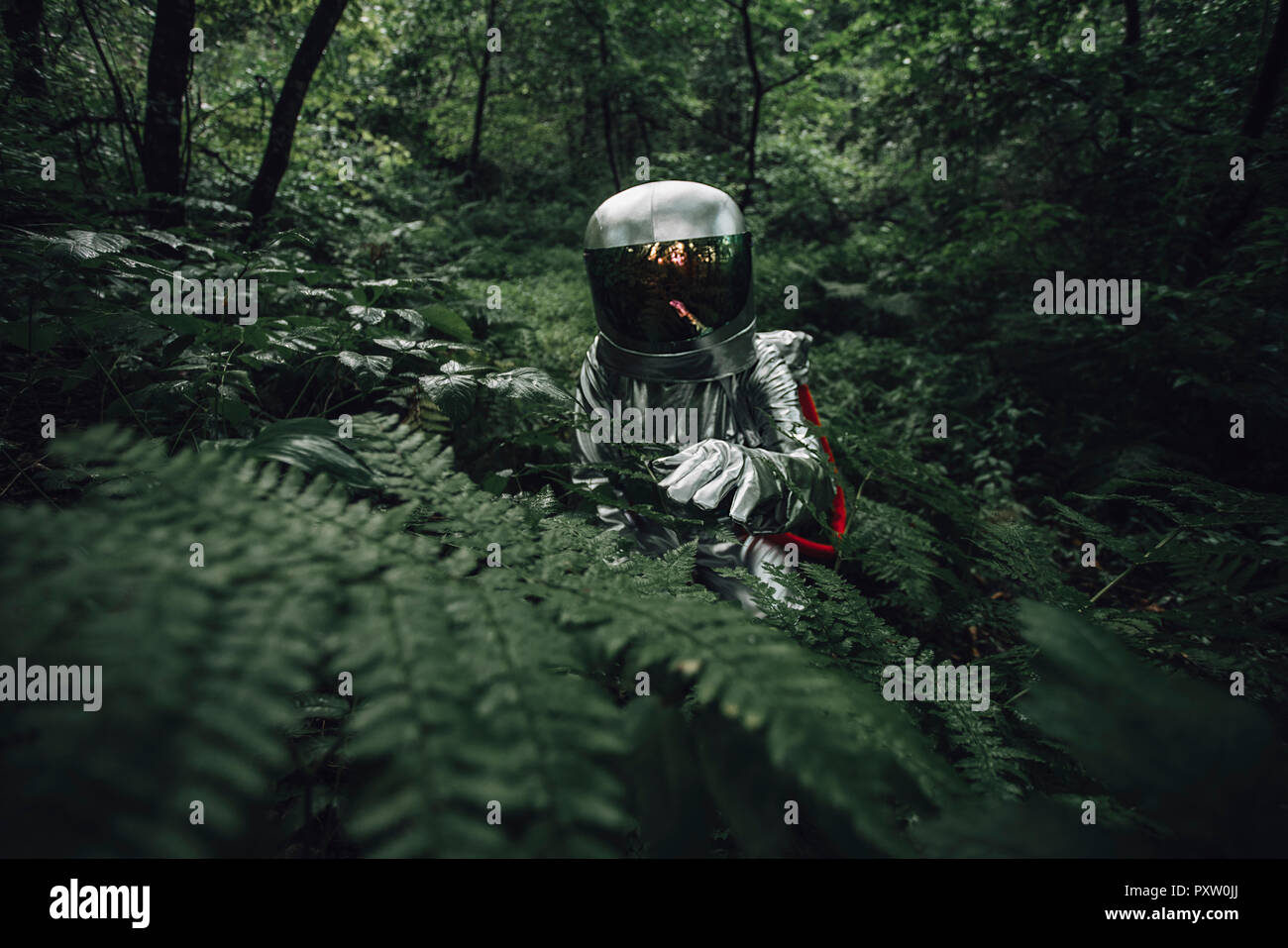 Spaceman Erkunden der Natur, der Pflanzen im Wald Stockfoto