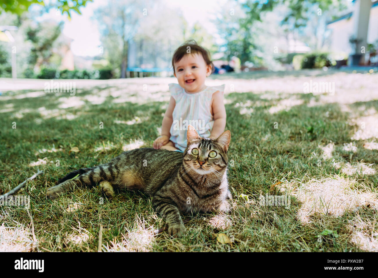 Portrait von tabby Cat auf einer Wiese mit lachendes Baby Mädchen im Hintergrund sitzen Stockfoto