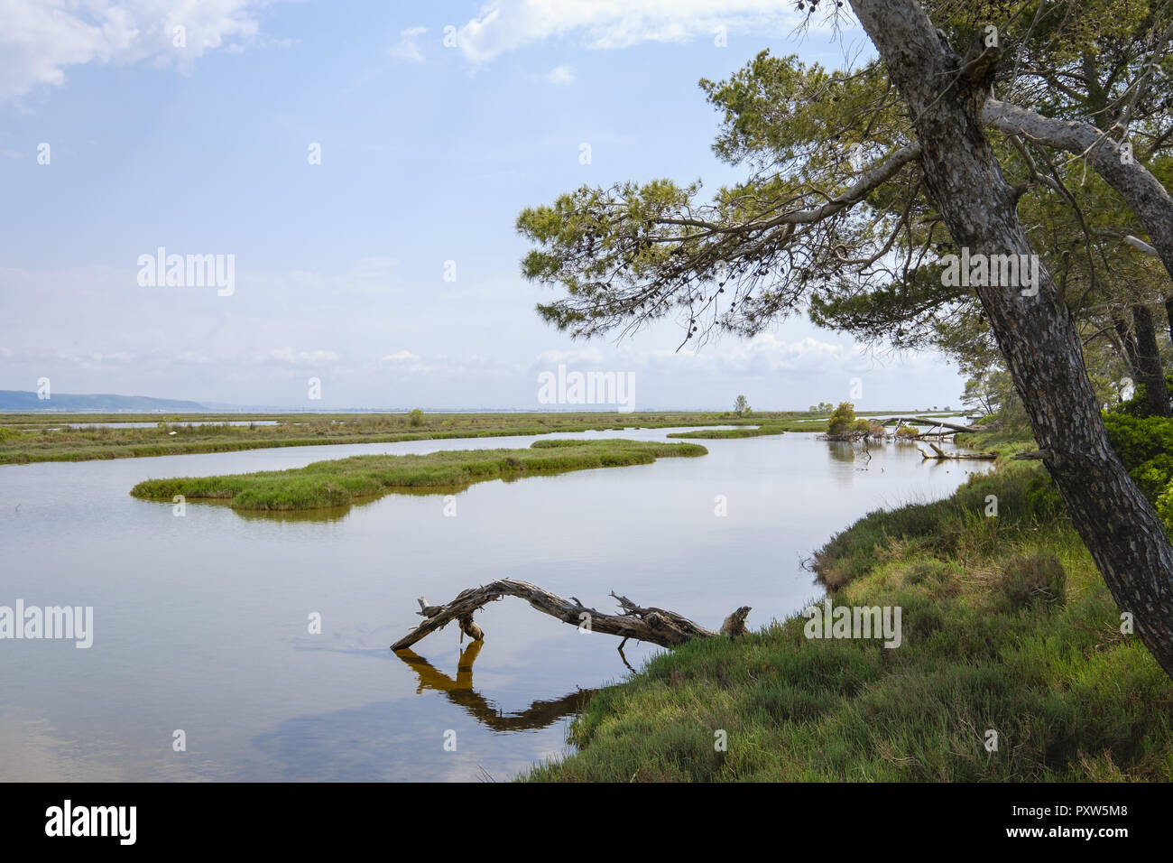 Albanien, Divjake-Karavasta Nationalpark, Lagune von Karavasta Stockfoto