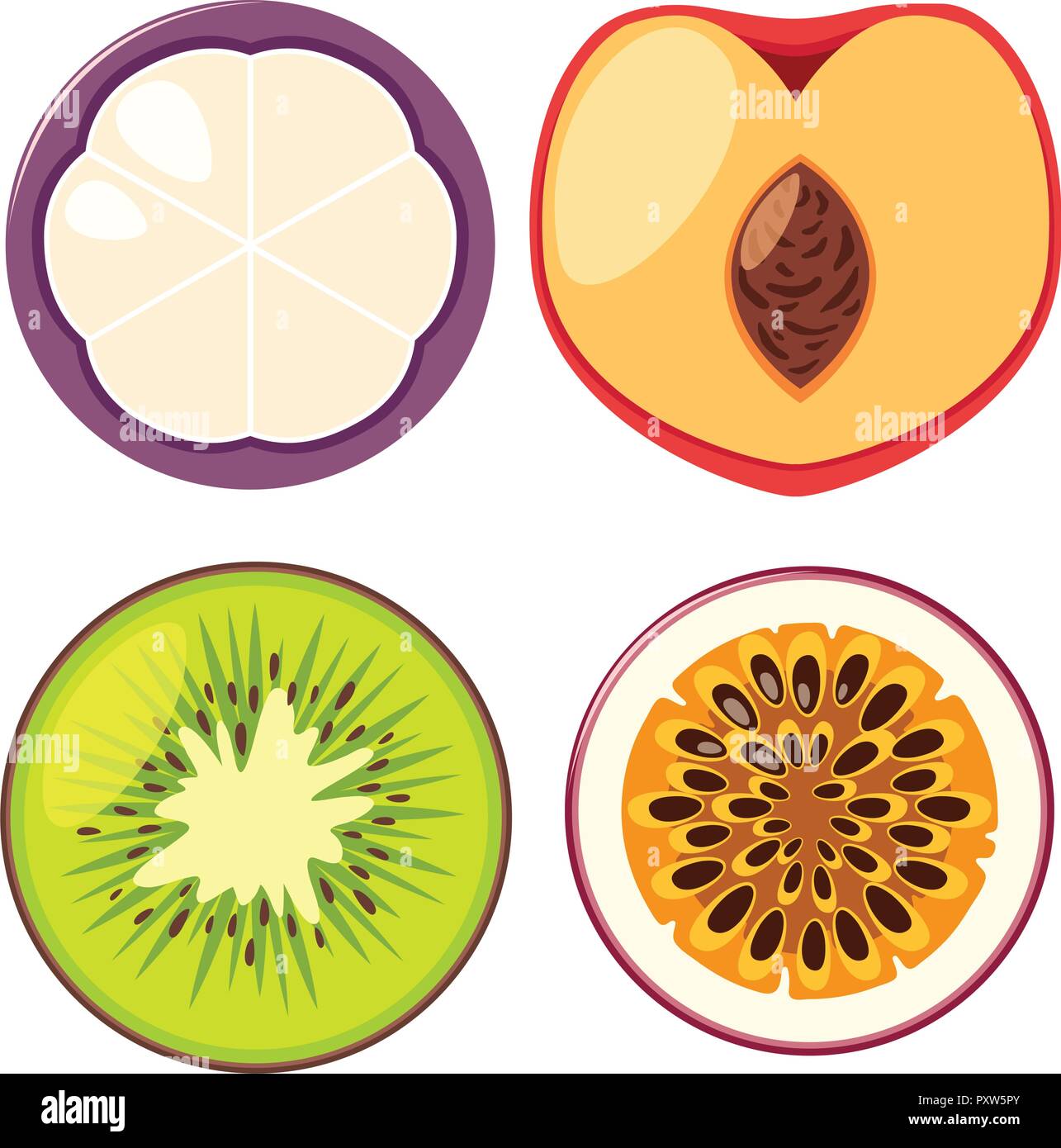 Vier verschiedene Arten von Früchten Abbildung Stock Vektor
