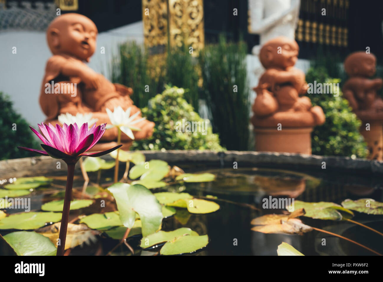 Thailand, Chiang Mai, Buddhastatuen und Teich von Seerosen in Wat Inthakhin Sadue Muang Tempel Stockfoto