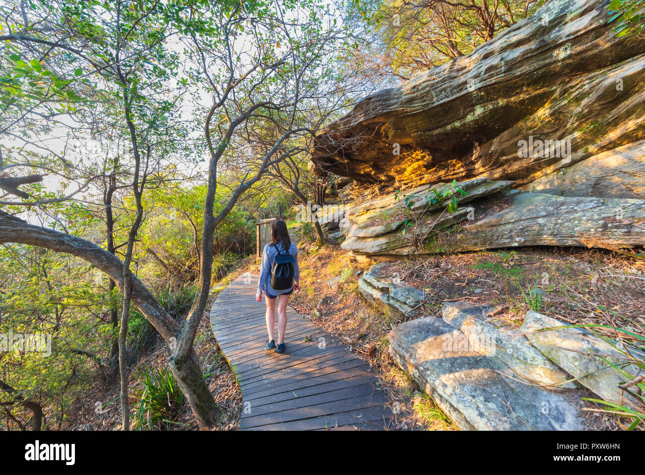 Eine Frau, die zu Fuß entlang der Eremitage Vorland Track in Nielsen Park. Sydney Harbour National Park, Australien Stockfoto Eine Frau, die zu Fuß entlang der Eremitage Vorland Track in Nielsen Park. Sydney Harbour National Park, Australien Stockfoto