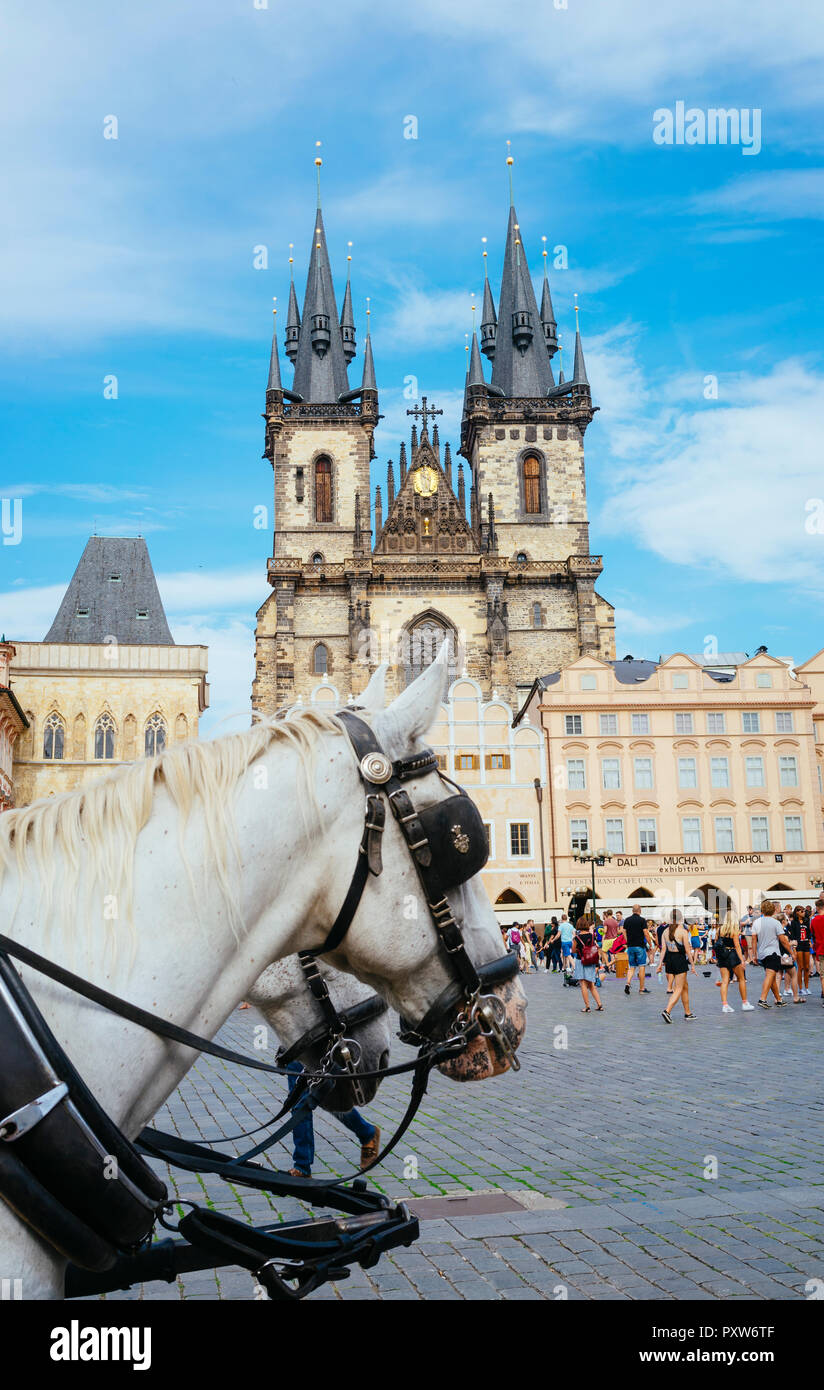 Tschechien, Prag, Pferdekutsche fett Marktplatz der Altstadt mit der Frauenkirche im Hintergrund Stockfoto