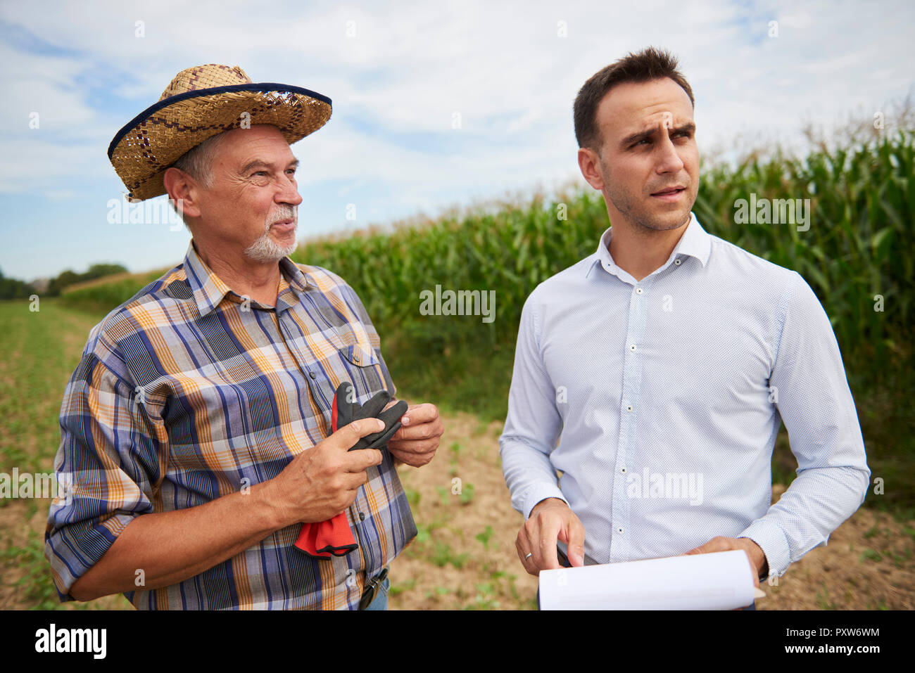 Landwirt und Unternehmer diskutieren auf dem Feld Stockfoto