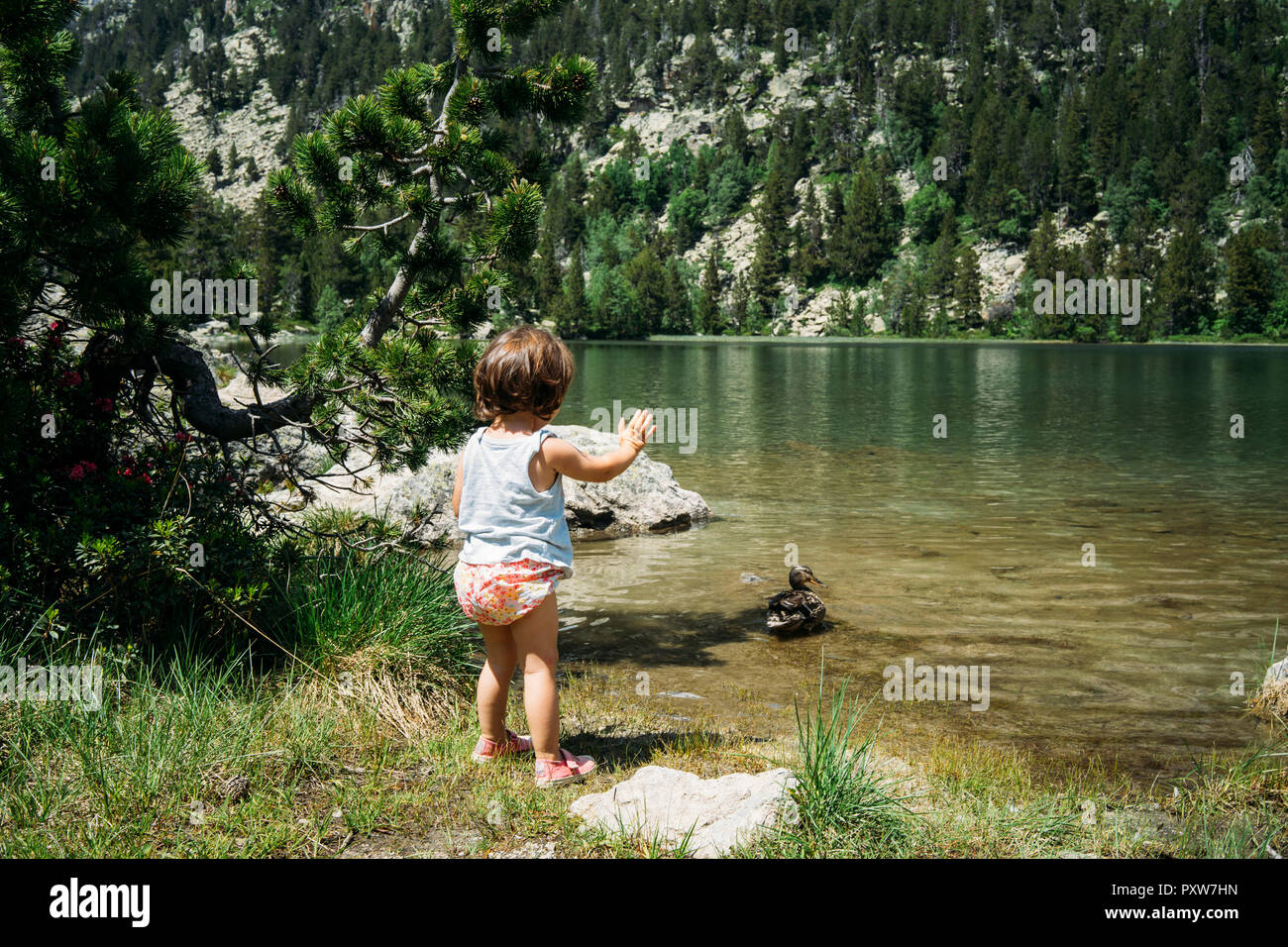 Spanien, kleines Mädchen am Bergsee winkt für eine Ente Stockfoto