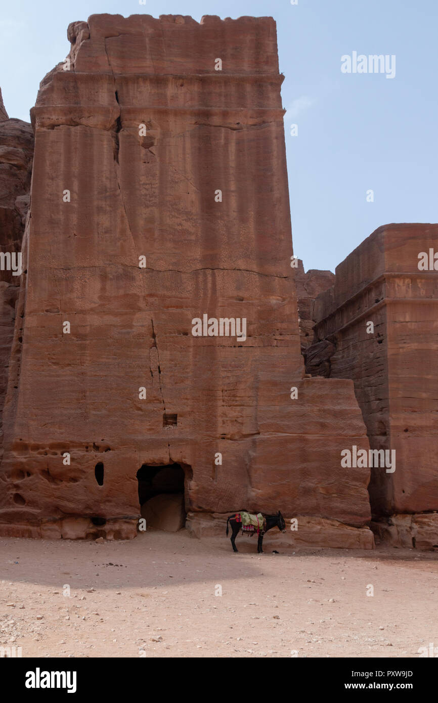 Petra, Jordanien - Oktober 19, 2018: Blick von einem Felsen Turm mit einem Esel in die antike Stadt Petra, Jordanien. Stockfoto