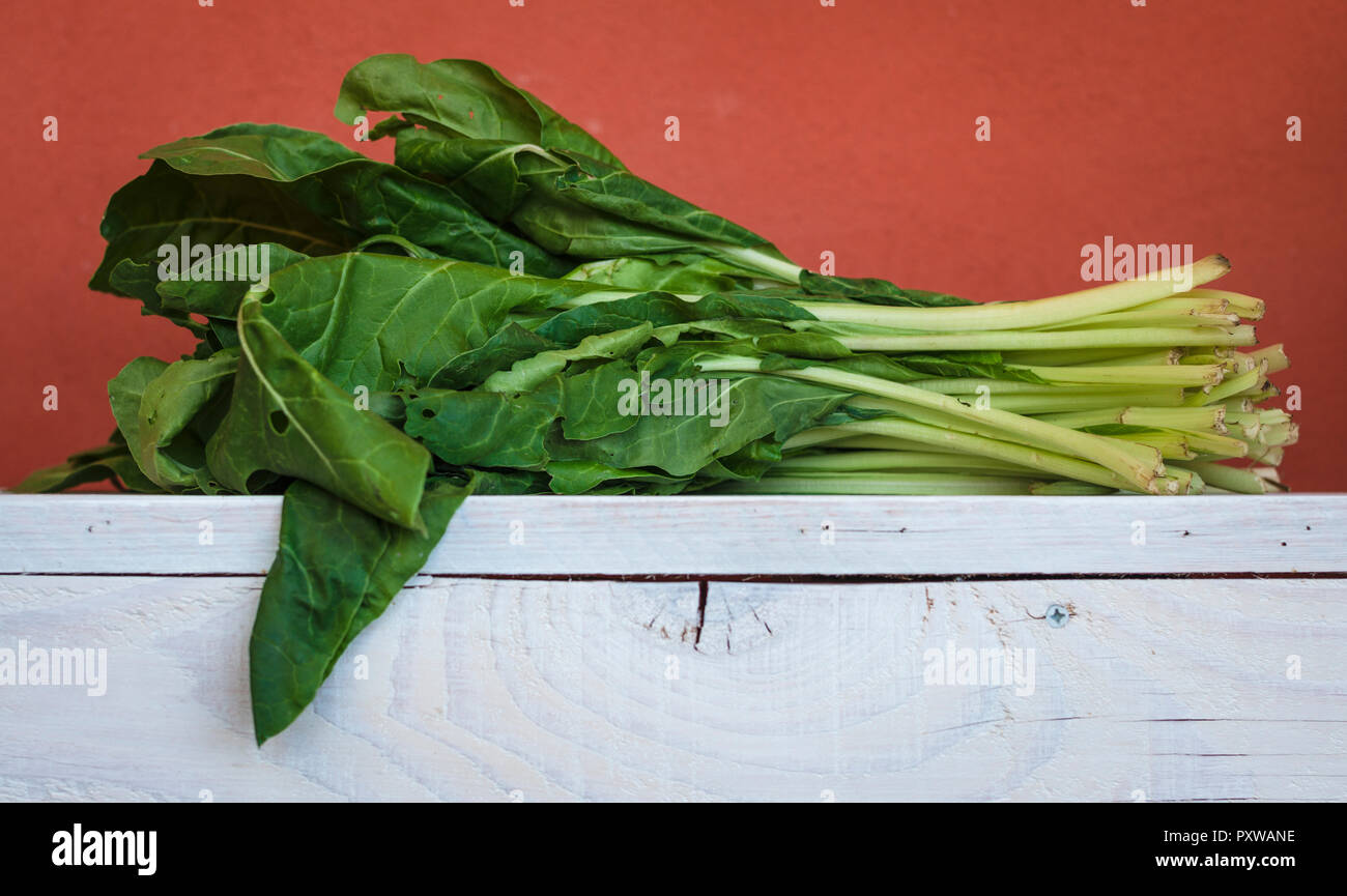 Frischen Blattspinat Stockfoto