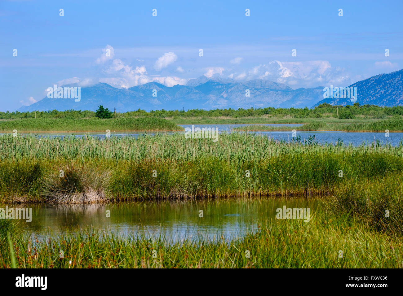 Albanien Lezhe, Lagune, Kune-Vain - Geschichte Natur Park Stockfoto