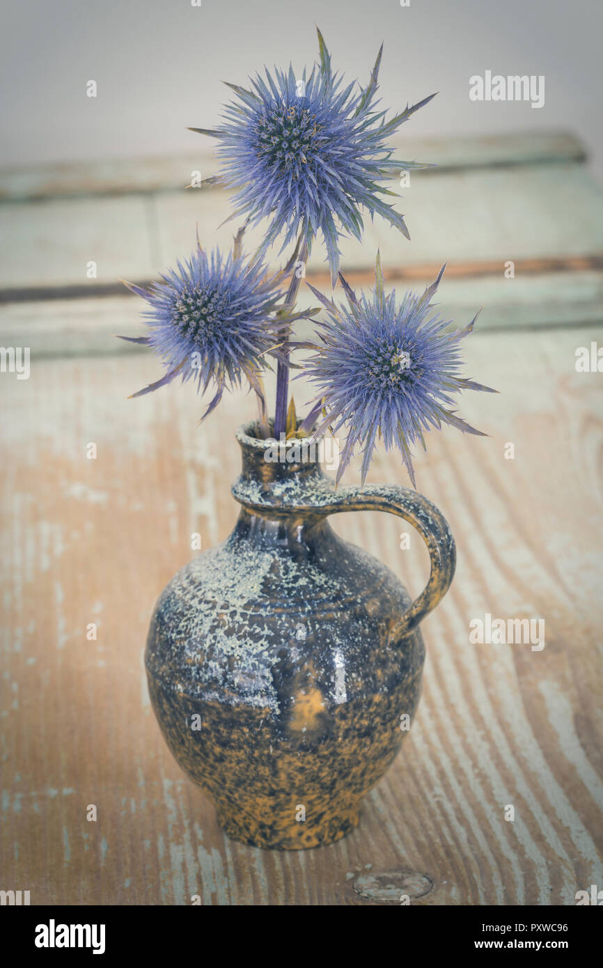 Blaue Distel in eine Vase Stockfoto
