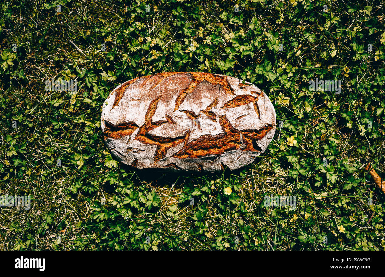 Laib Brot auf Gras Stockfoto